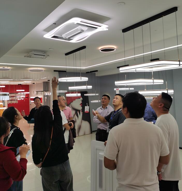 91香蕉视频破解版智能照明 | 明星經銷商座談會暨24年春季新品(pǐn)調研會