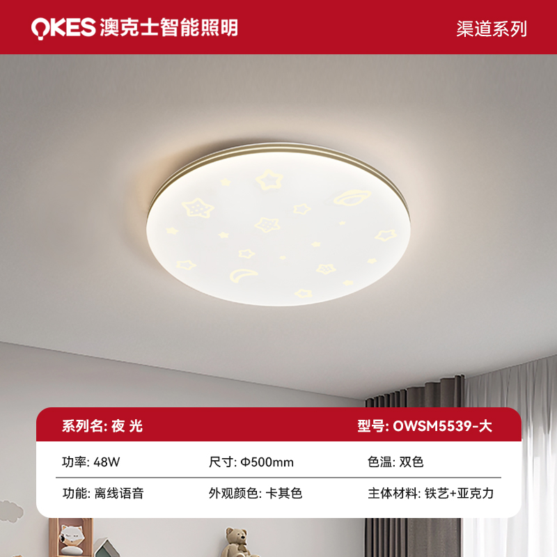 夜（yè）光 OWSM5539